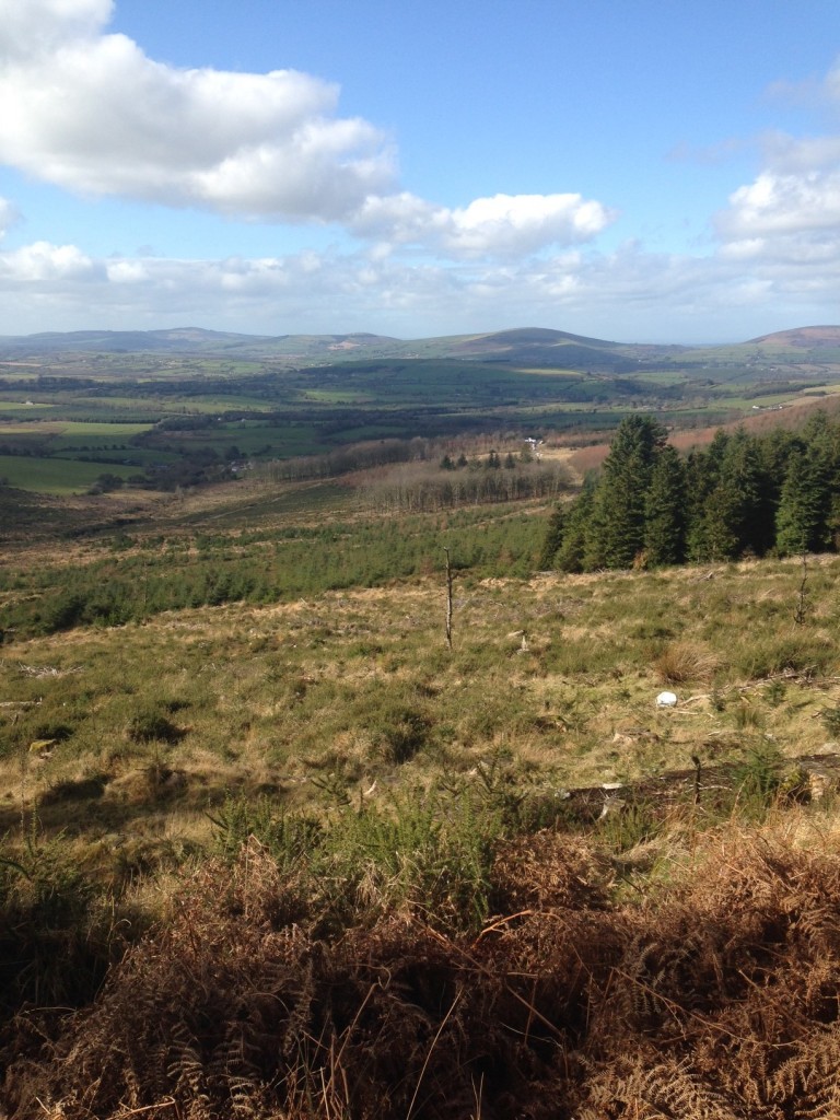Beautiful Landscapes - perfect for  H&H